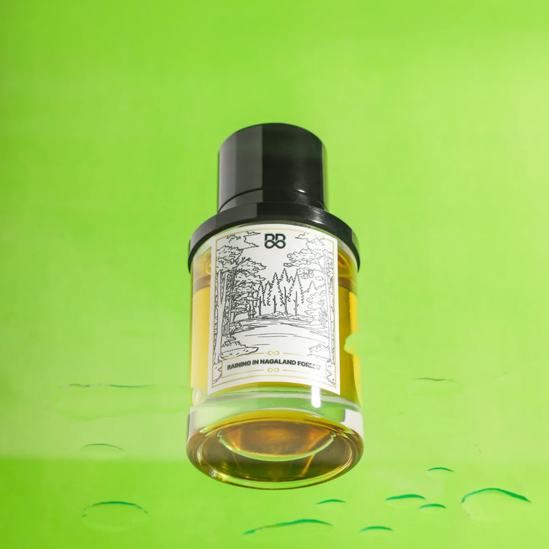 Raining in Nagaland Forest