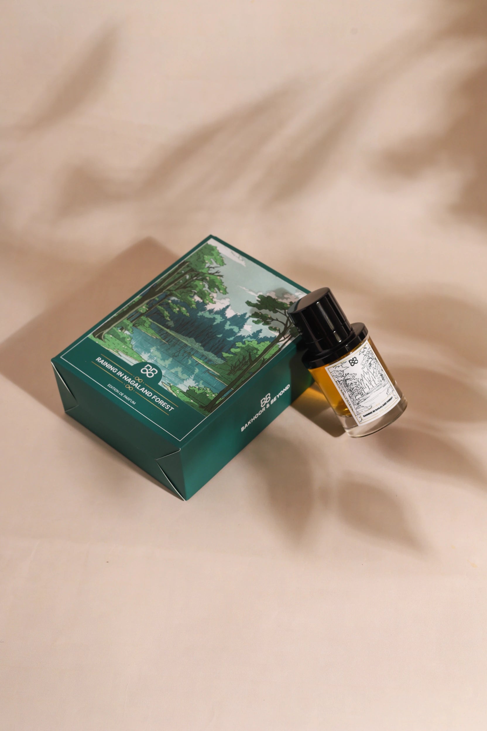 Raining in Nagaland Forest