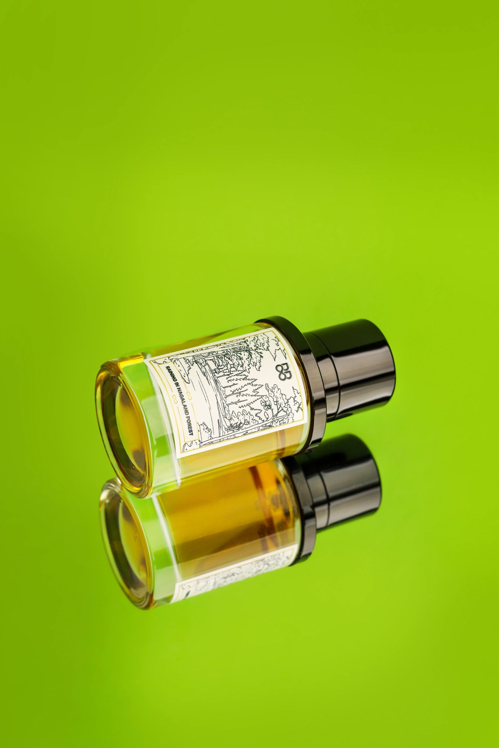 Raining in Nagaland Forest