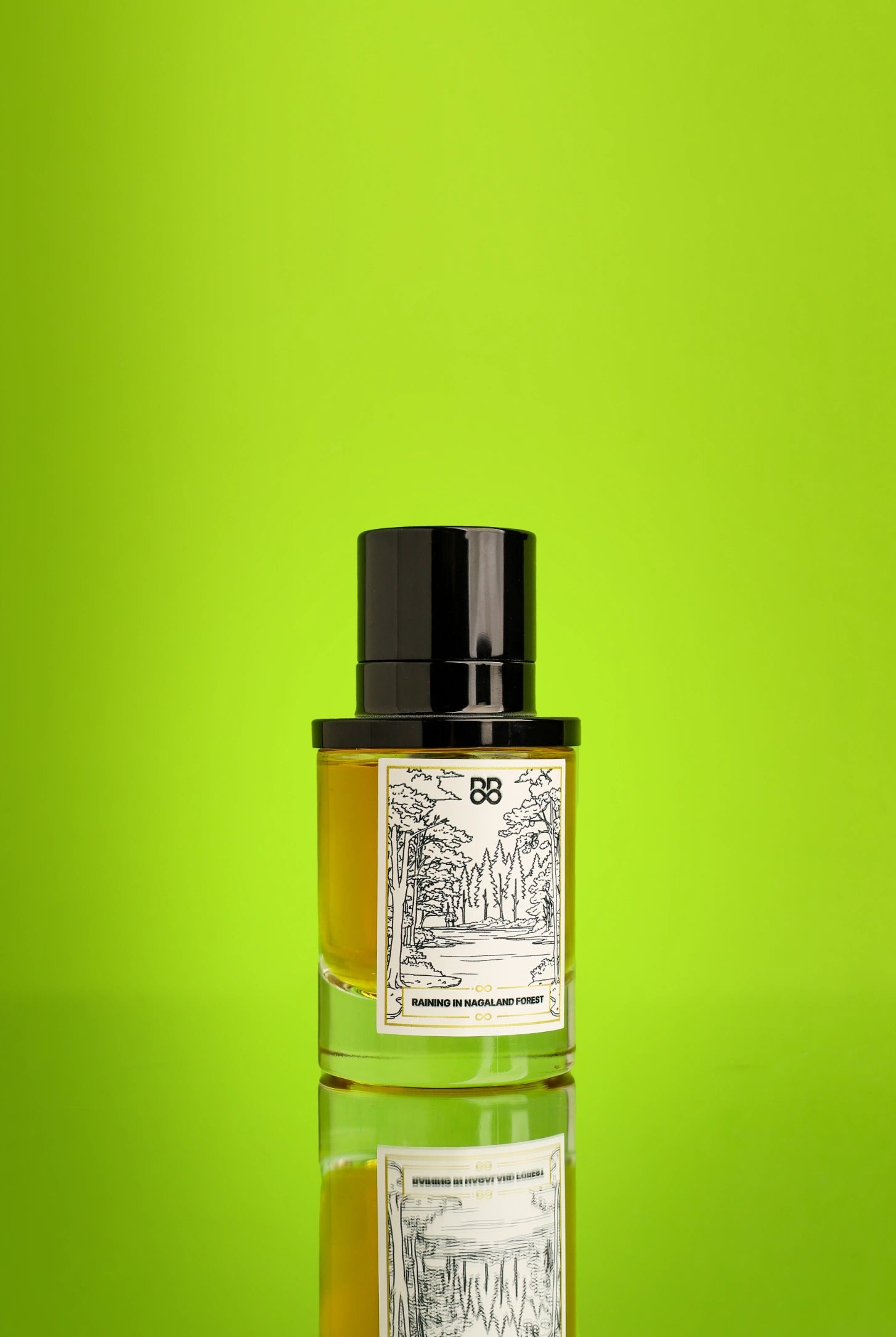 Raining in Nagaland Forest