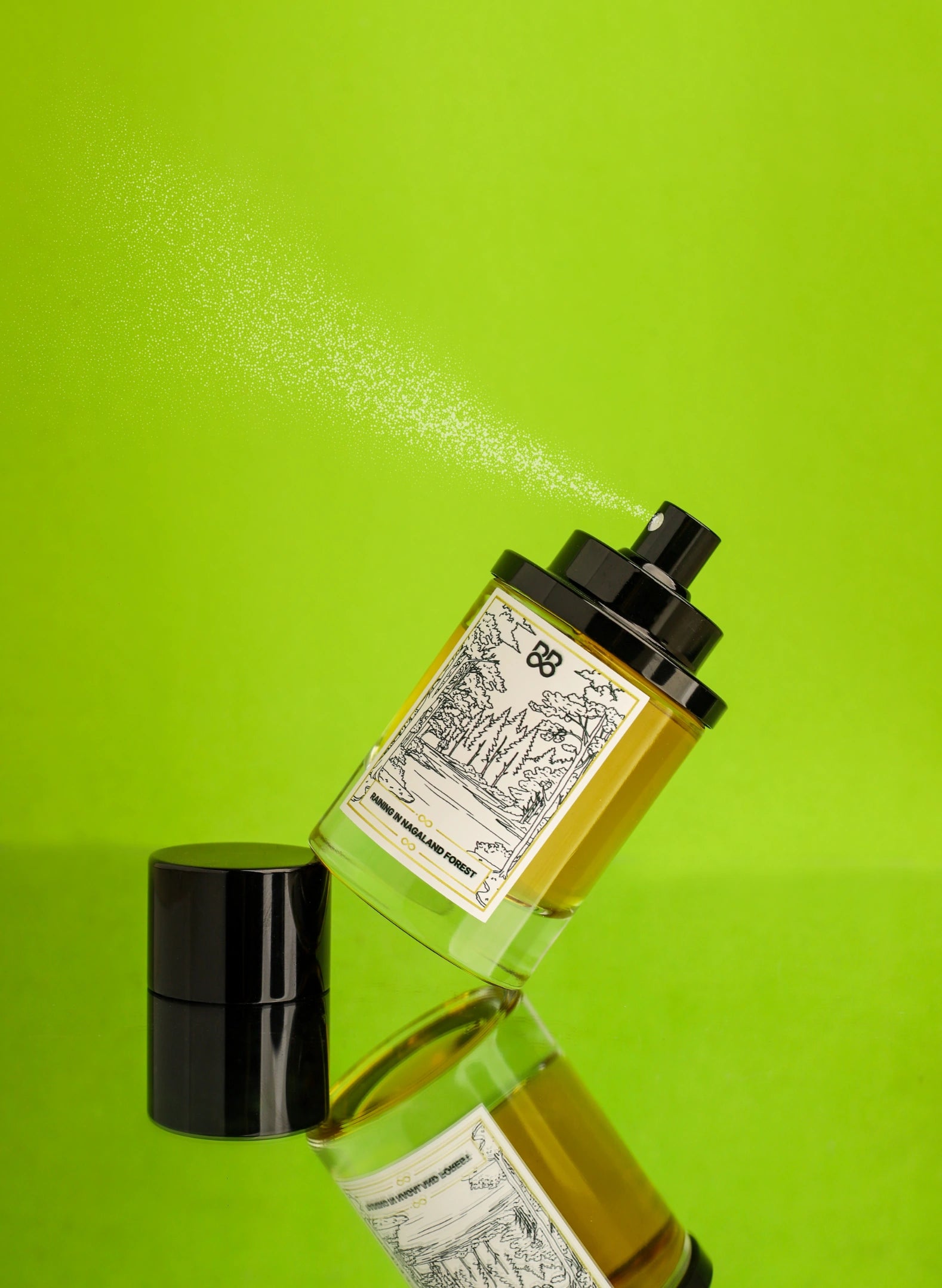 Raining in Nagaland Forest